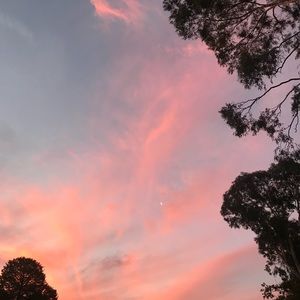 Meet your Posher, Camille